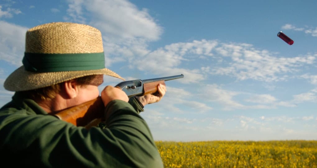 Dove hunting season is just around the corner in Colorado. Here’s how to make sure you’re ready.